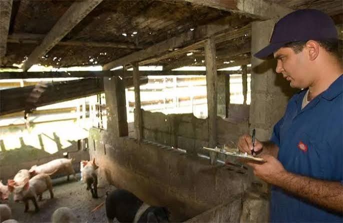 WHAT ANIMALS CAN TEACH FARMERS ABOUT THE POWER OF OBSERVATION
